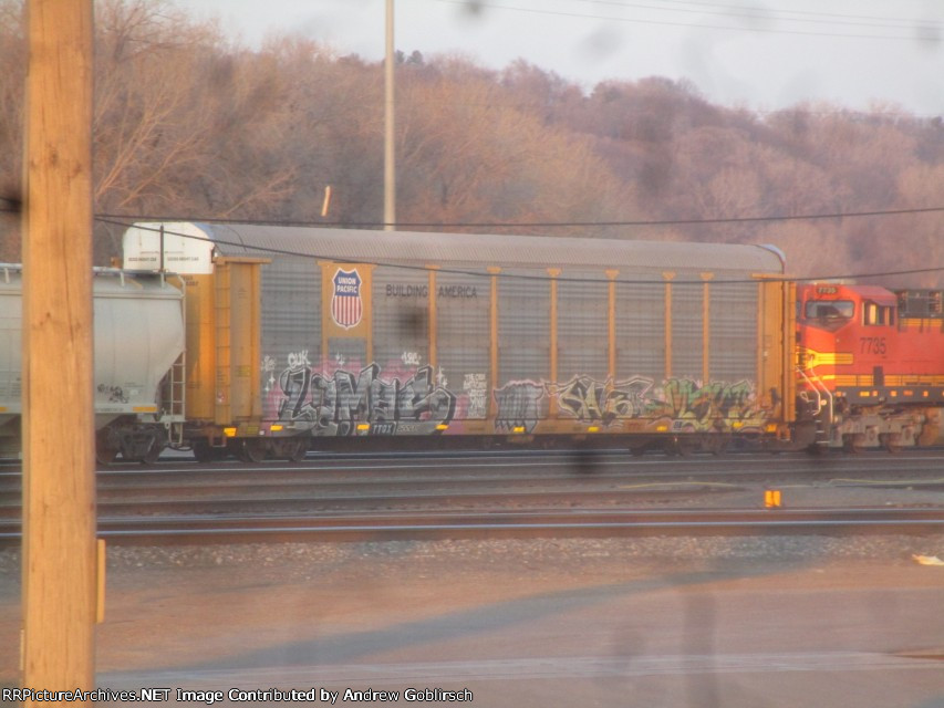 TTGX 255207